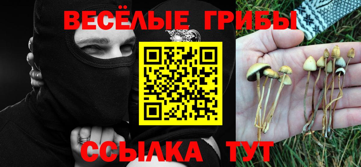 Псилоцибиновые грибы Magic Shrooms  Вход с VPN  Галлюциногенные грибы мухоморы  Калининград 